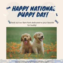 The Bark Park 🐶at Springfield Apartments the perfect place for your and your pup!! #nationalpuppyday 🐾
